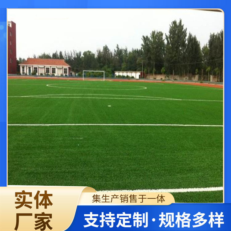 宣城市橡胶跑道人造草坪 - 哪里好